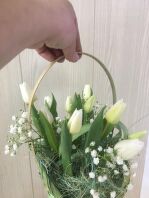 № 440  Корзинка с Тюльпанами.